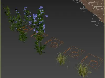  meadow spring  3D model