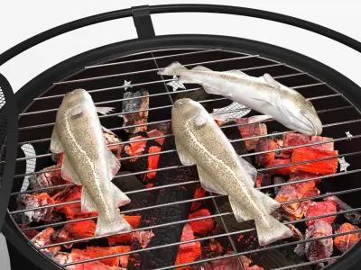  Whole Cod Placed on Charcoal Grill Grate 