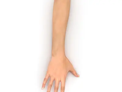  Female Hand 2 Rigged for Cinema 4D 