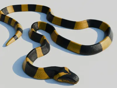 Rigged Banded Krait - Low Poly - Game Ready - PBR