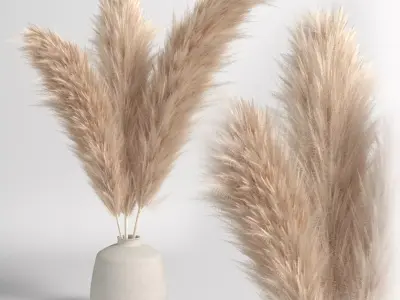 Soft pampas 2 3D model