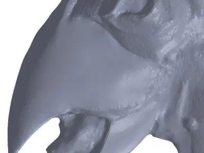 Kroot Bird - remodeled 3D print model