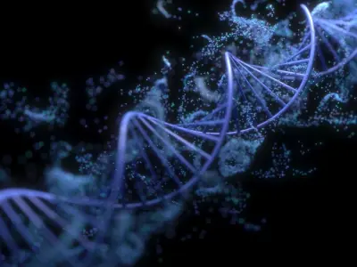 DNA Helix 3D model