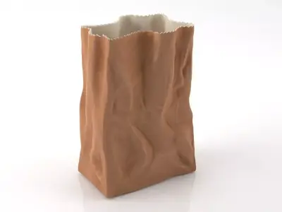 Bag Vase 3D model