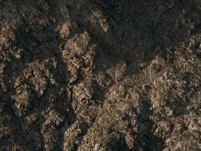 TERRAFORM Lowland 10 3D model