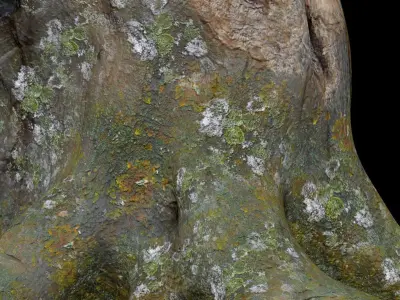 Dead Moss Tree Stump V2 Low-poly 3D model