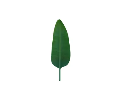 Big Leaf Low-poly 3D model