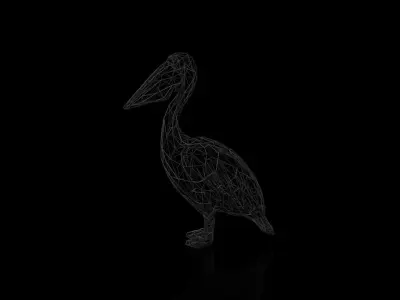 Pelican Wireframe Low-poly 3D model