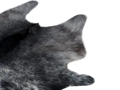 Animal skin rug 12 3D model