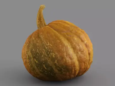 HIGH QUALITY REALISTIC PUMPKIN 8K MAPS 3D model