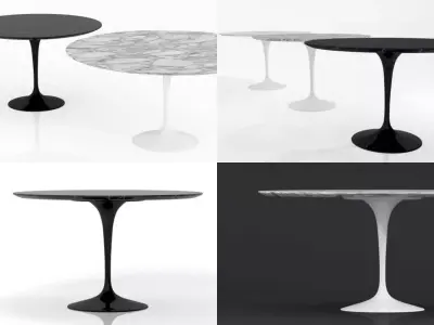 Tulip Round Table 3D model