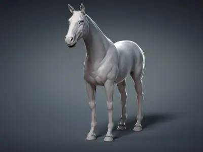  Horse Base Mesh 