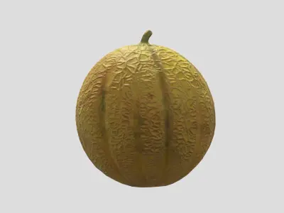 Melon Fruit Low Poly 3D model