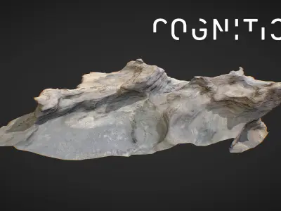 Iceland Tidal Rocks 01 Low-poly 3D model