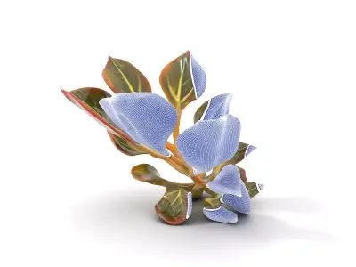 Vibrant Tropical Foliage model pack Low-poly 3D model