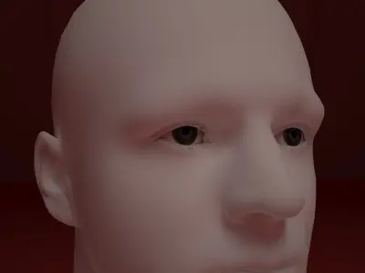 Synthetic humanoid 3D model