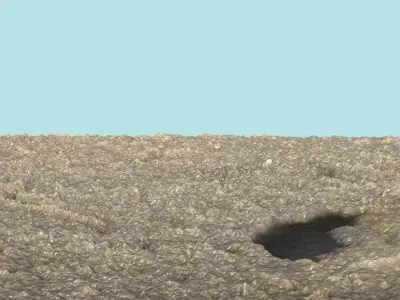 Burrows In The Sand 3D model