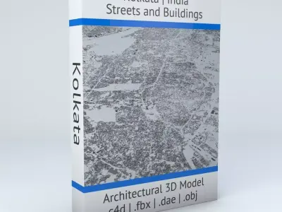 Kolkata Streets and Buildings 3D model