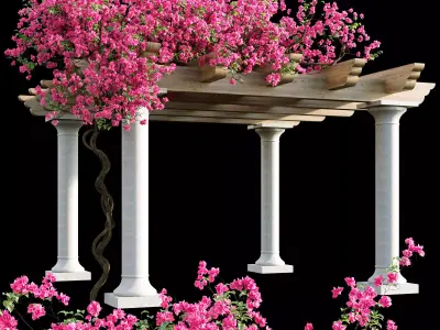 Bougainvillea 08 3D model