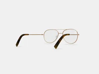 York Eyeglasses in Polished Gold 3D model