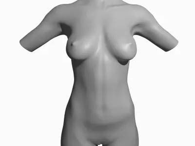 Male Female Mannequins 3D model