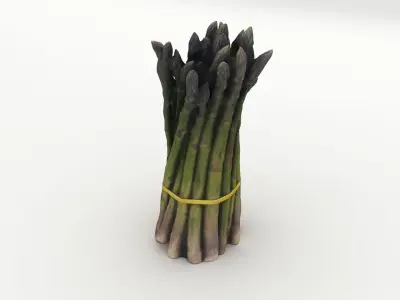 Green Asparagus Bundle 3D model