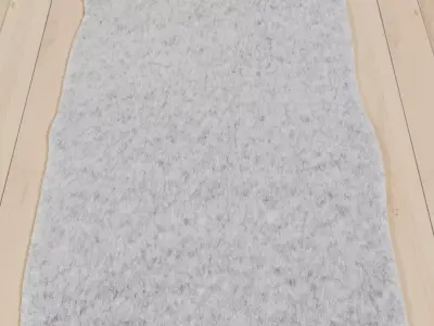 Carpet 02 3D model
