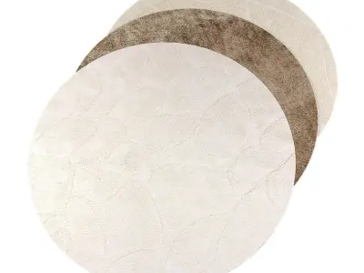 Rugs567 Low-poly 3D model