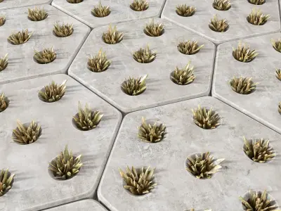 Paving hexagon  grass 3D model