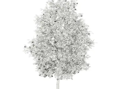 Grapefruit Tree with Fruits 3D model