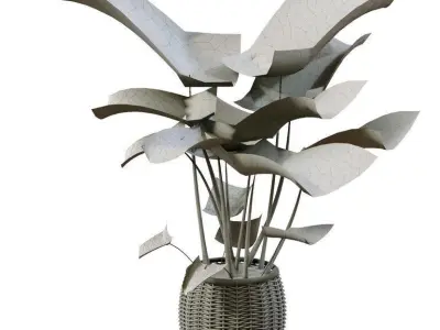 Elephant ear caladium in pots 3D model