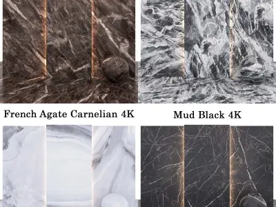 Marble 65 - Mud Black-French Agate-Gray Branche-Brown Texture