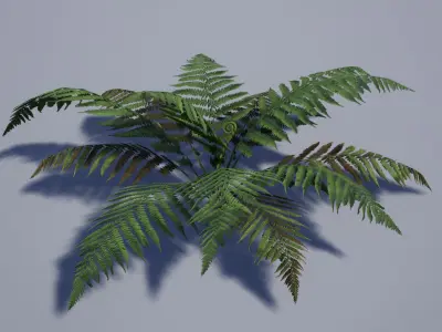 Realistic Tropical Fern Low-poly 3D model