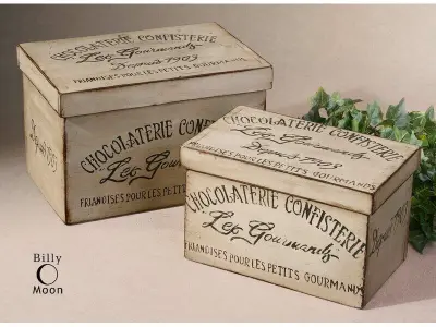 Netto Decorative Box 3D model purchase