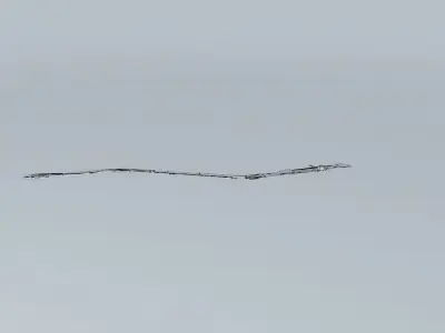 Hamilton GO Centre  Free 3D model
