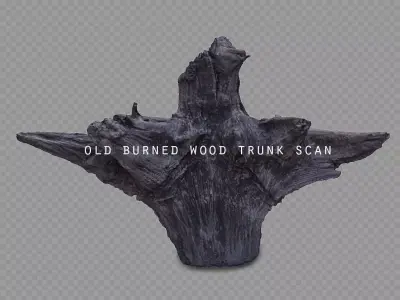 old burned wood trunk Low-poly 3D model