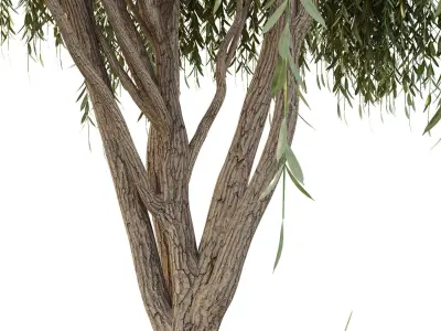 HQ Urban environment set of green plant benches 08 Free 3D model