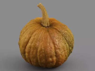 HIGH QUALITY REALISTIC PUMPKIN 8K MAPS 3D model