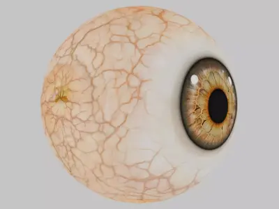 3D Eye Model with Realistic Textures Low-poly 3D model