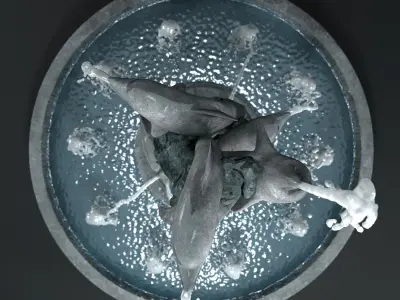 Fountain with dolphins 3D model