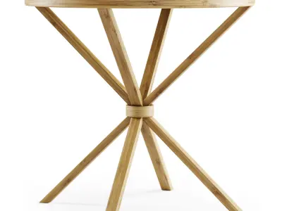 Wooden rattan coffee table  3D model