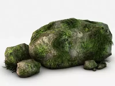 Mossy rocks and plants 3D model