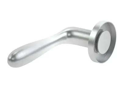 Eurospec Bulb Stainless Steel Door Handle 3D model