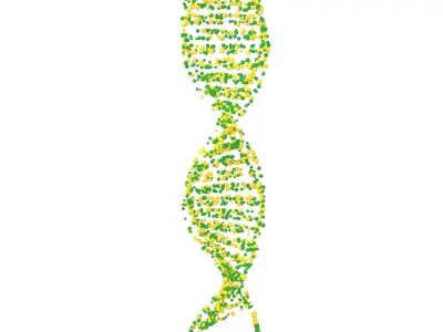 DNA Molecule v4 007 3D model