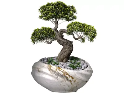 Decorative Bonsai Tree in Marble Flowerpot Vase Urn Pot 3D model