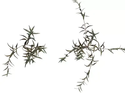 Realistic Dry Shrub Clump  Low-poly 3D model