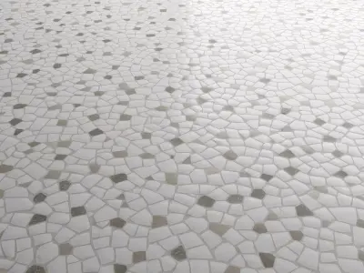 Gaudi White Mosaic Floor with Inserts 08 Texture