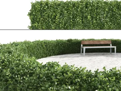  Scatterable Hedges Collection 
