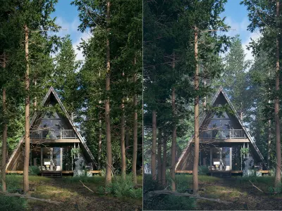 V-Ray 6 Forest House - Materials - Trees and Lighting 3D model