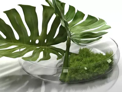Philodendron Dianthus Vessel 3D model